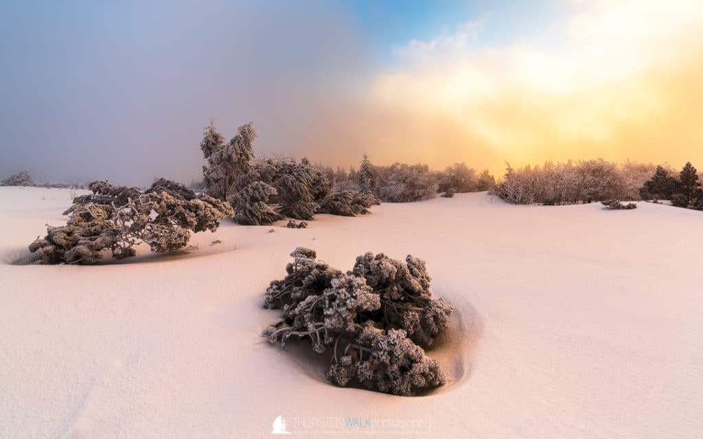 TWF_20171229_Schwarzwald_012