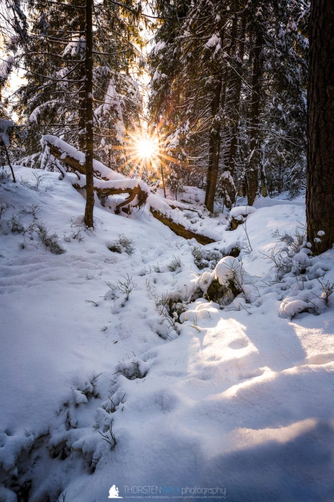 TWF_20180213_Schwarzwald_001