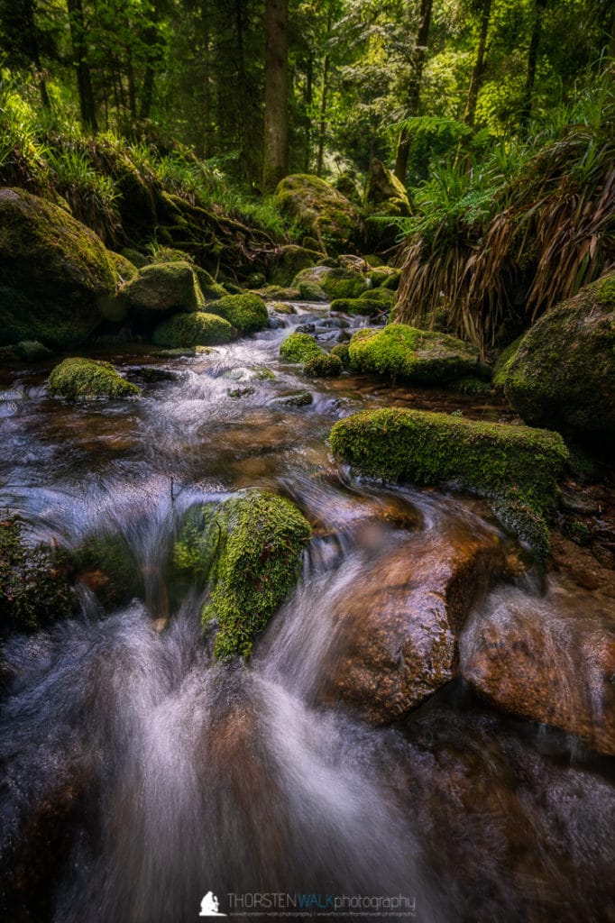 TWF_20180511_Schwarzwald_014