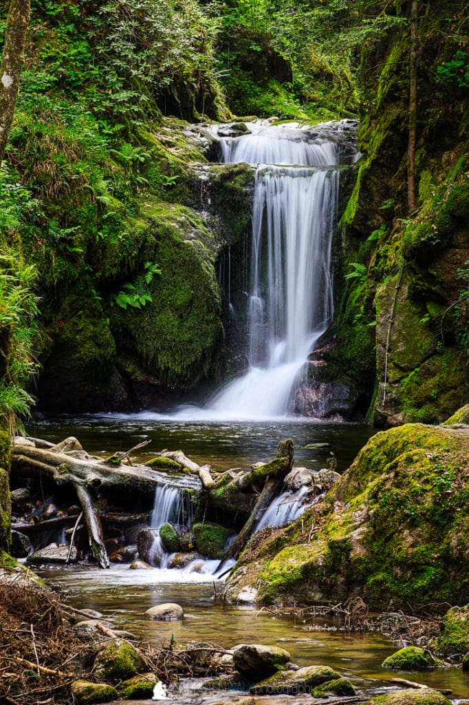 TWF_20180511_Schwarzwald_015