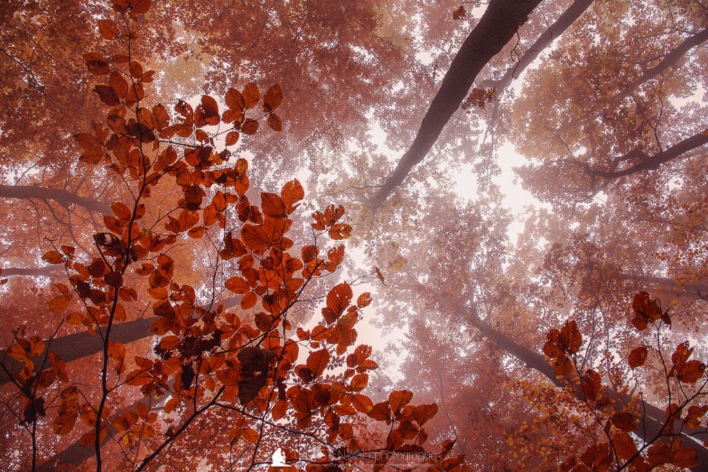 Herbstfarben