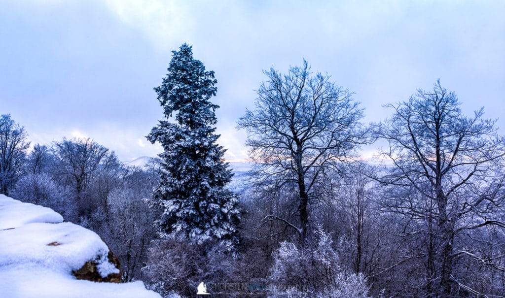 Winter auf der Wegelnburg