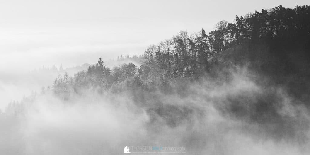TWF_20170101_Waelder_008