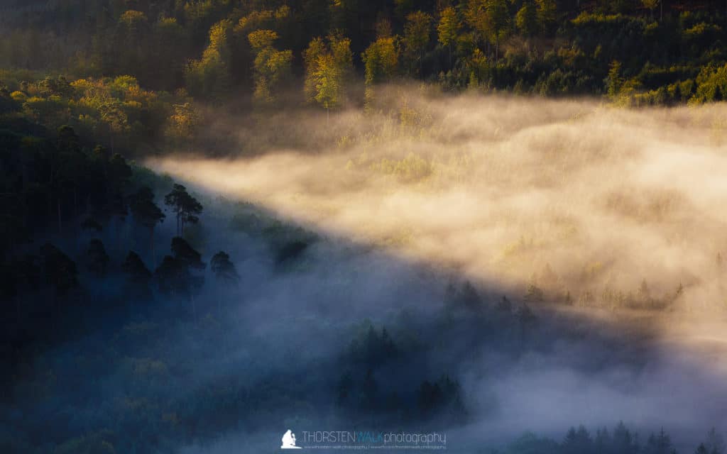TWF_20170916_Waelder_011