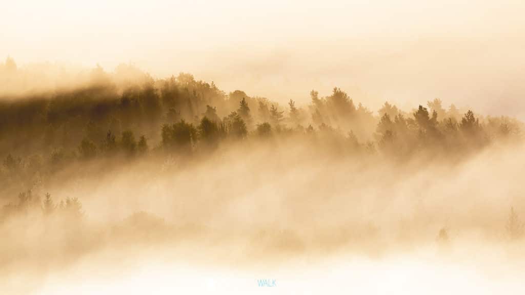 TWF_20171014_Waelder_013