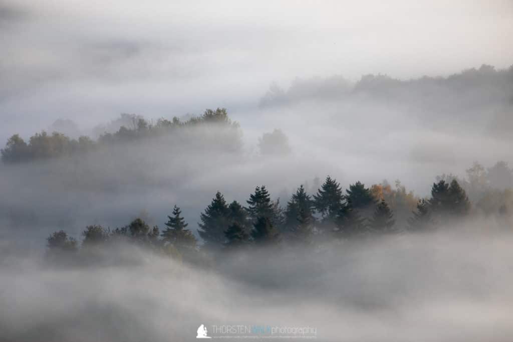 TWF_20191026_webseite_002