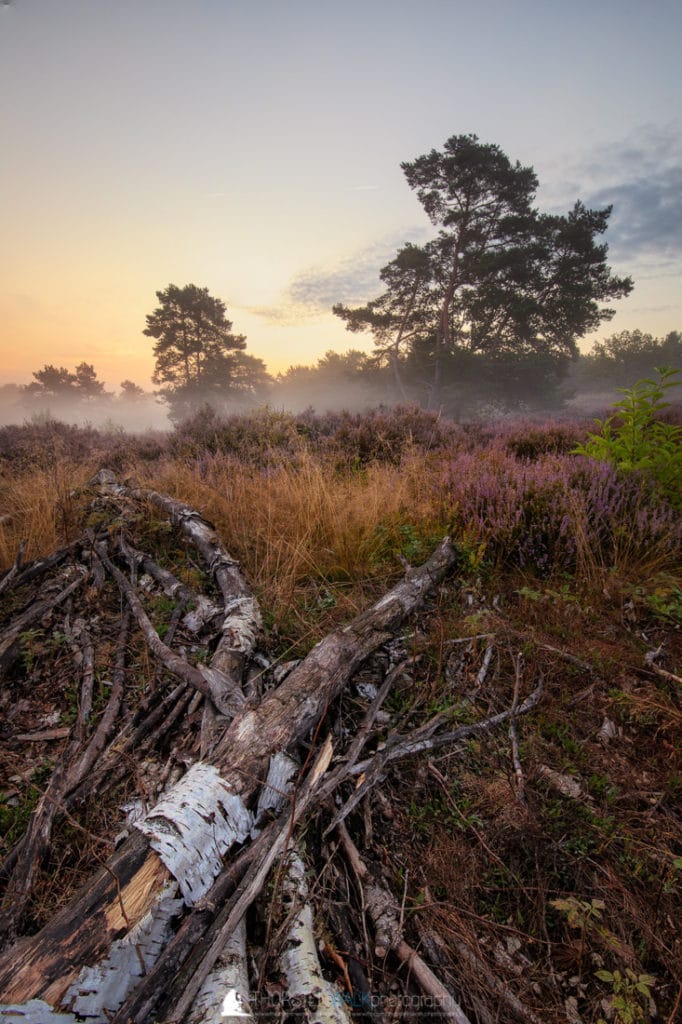 TWF_20180815_Burgen_und_Landschaften_063