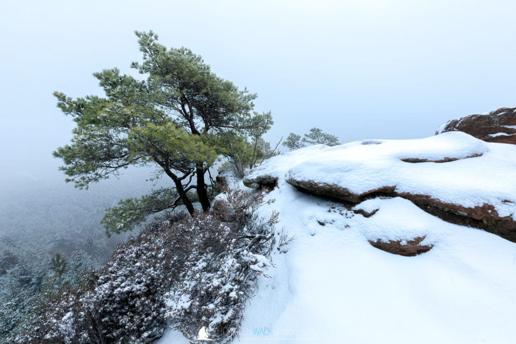 Im Winter auf dem Heidenpfeiler