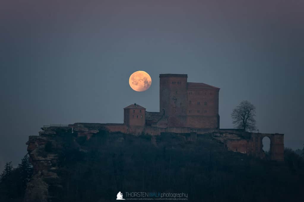 TWF_20190121_webseite_001