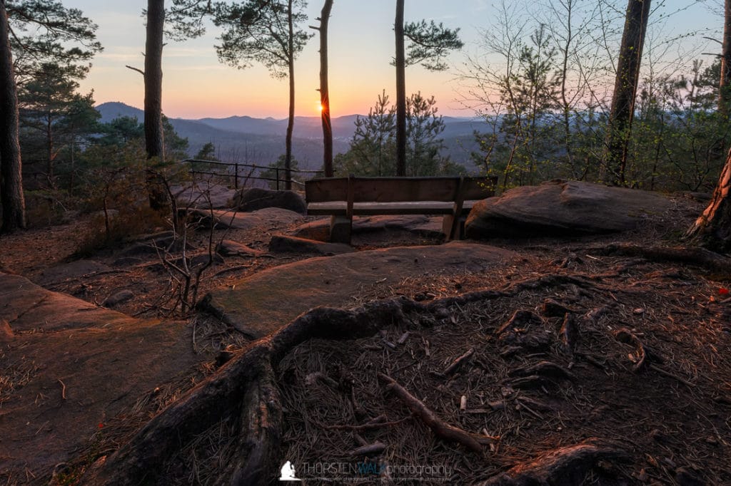TWF_20190331_webseite_001