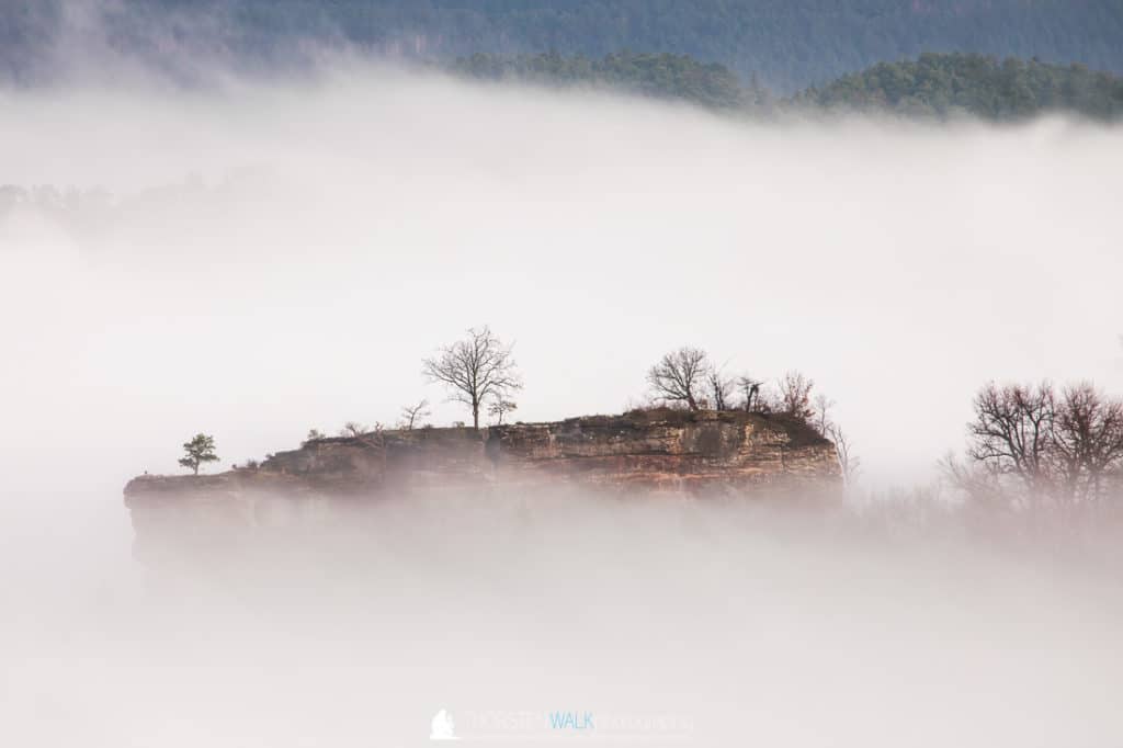 TWF_20191226_webseite_010